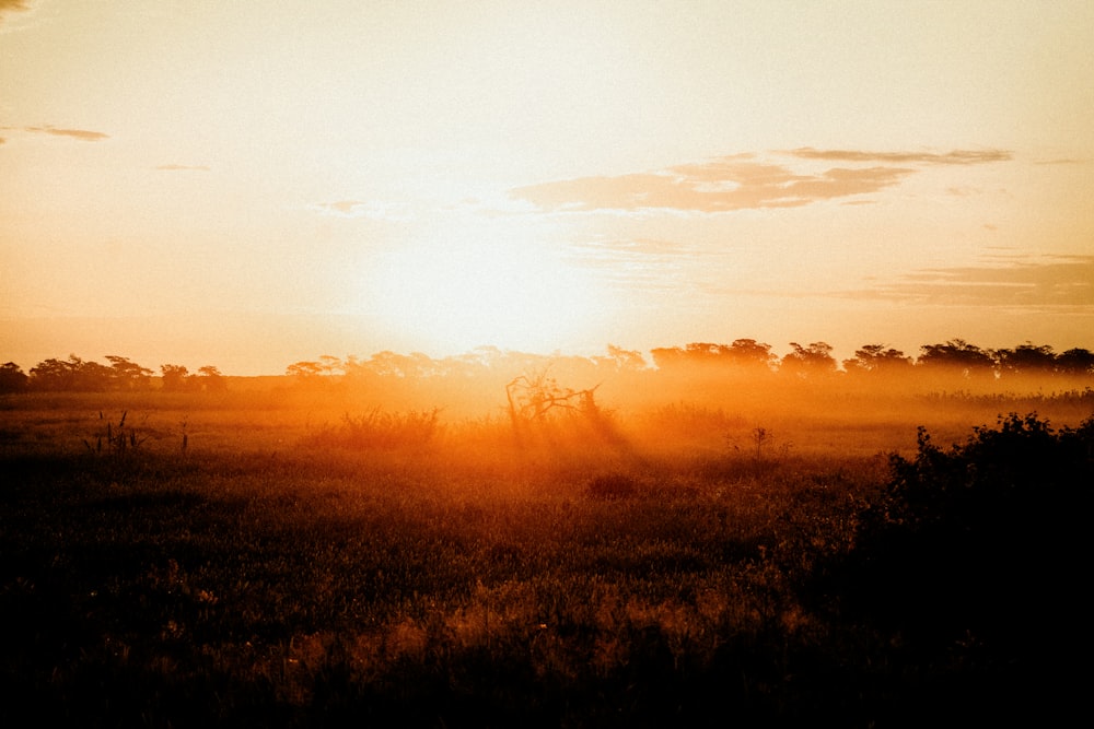 the sun is setting over a field of grass