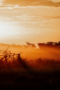 A serene landscape captured during golden hour.