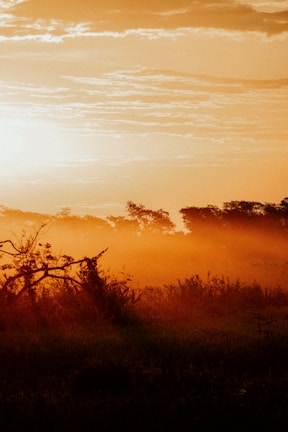 A serene landscape photo taken during golden hour with warm tones.
