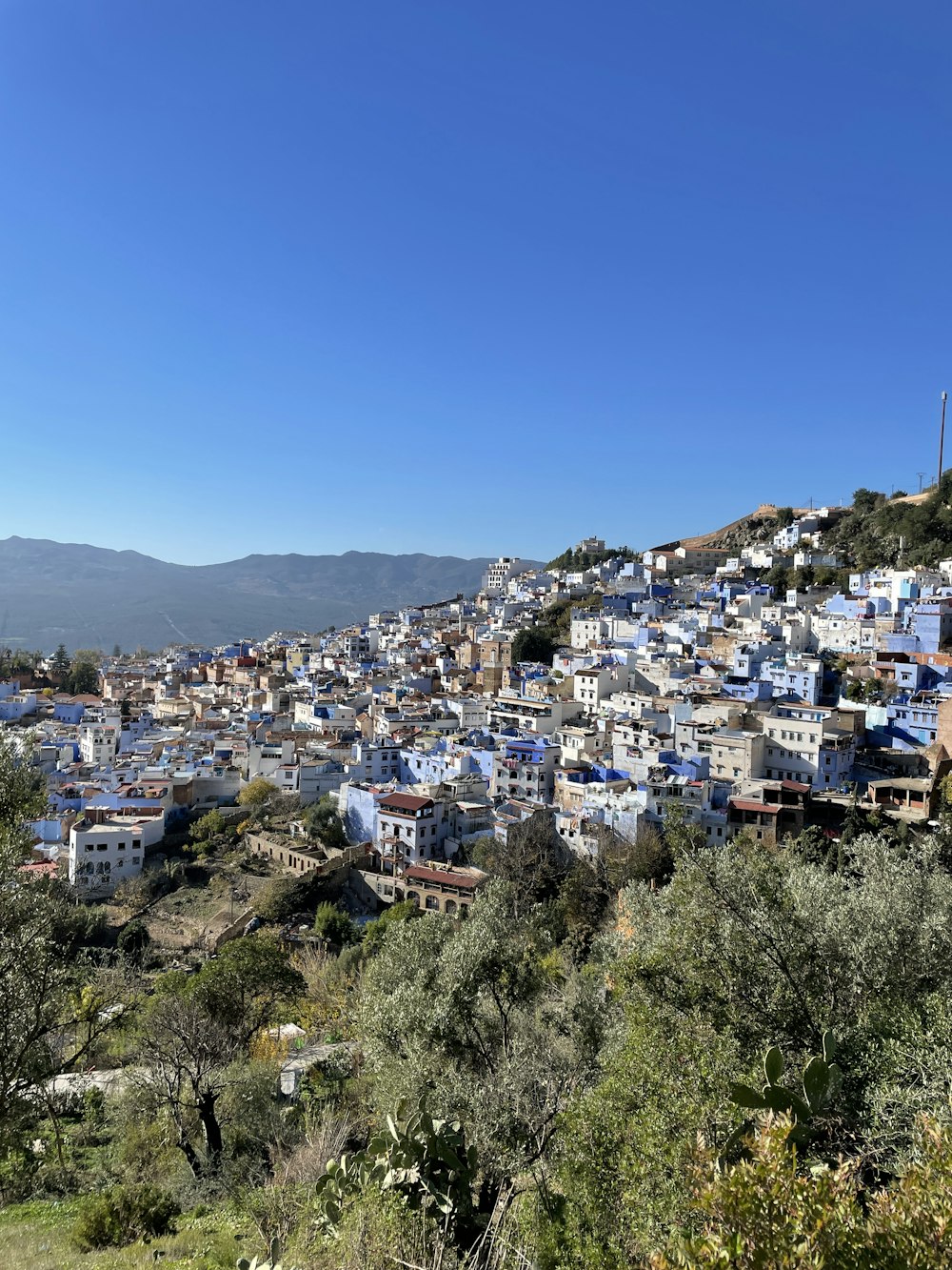 a view of a city from a hill