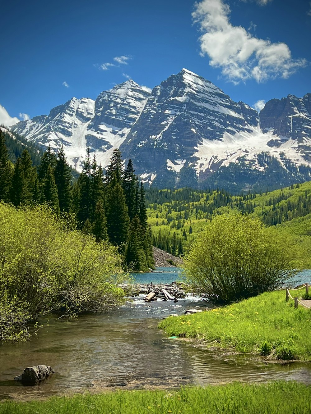 a river running through a lush green forest