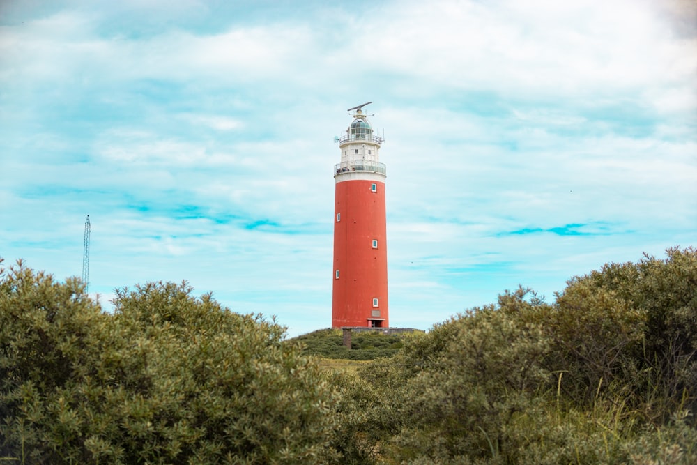 a red and white light house surrounded by trees