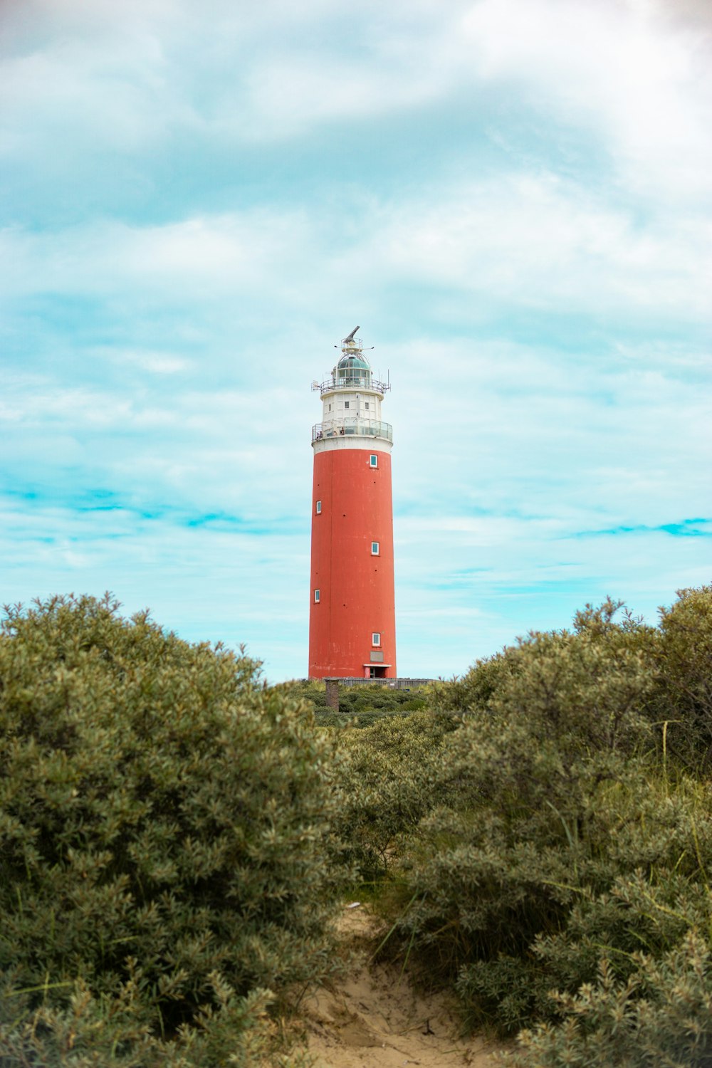 a red and white light house surrounded by bushes