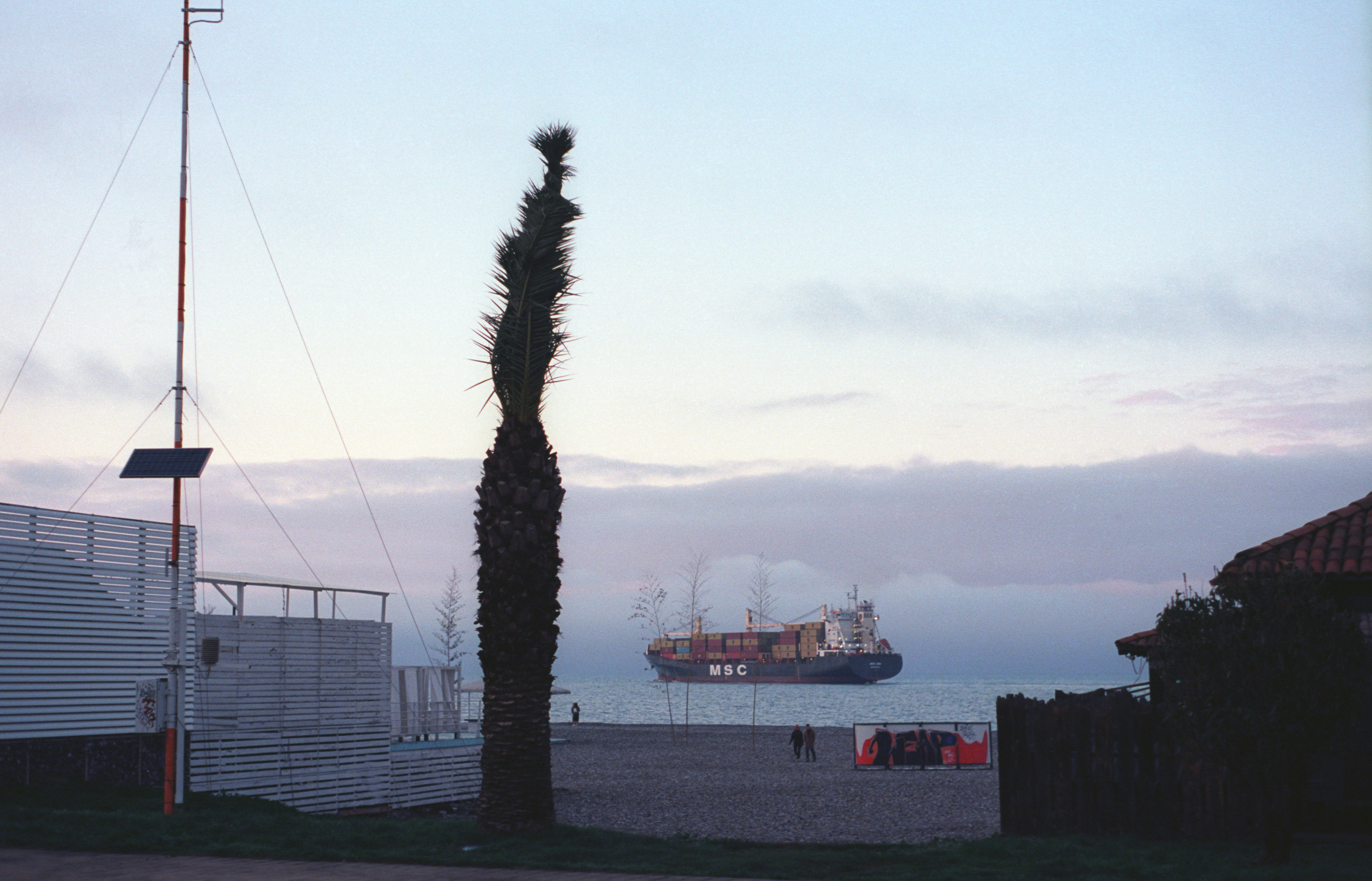 a boat is in the water near a palm tree