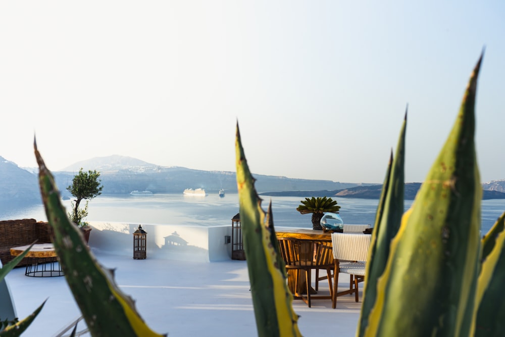 a patio with a table and chairs and a view of the ocean