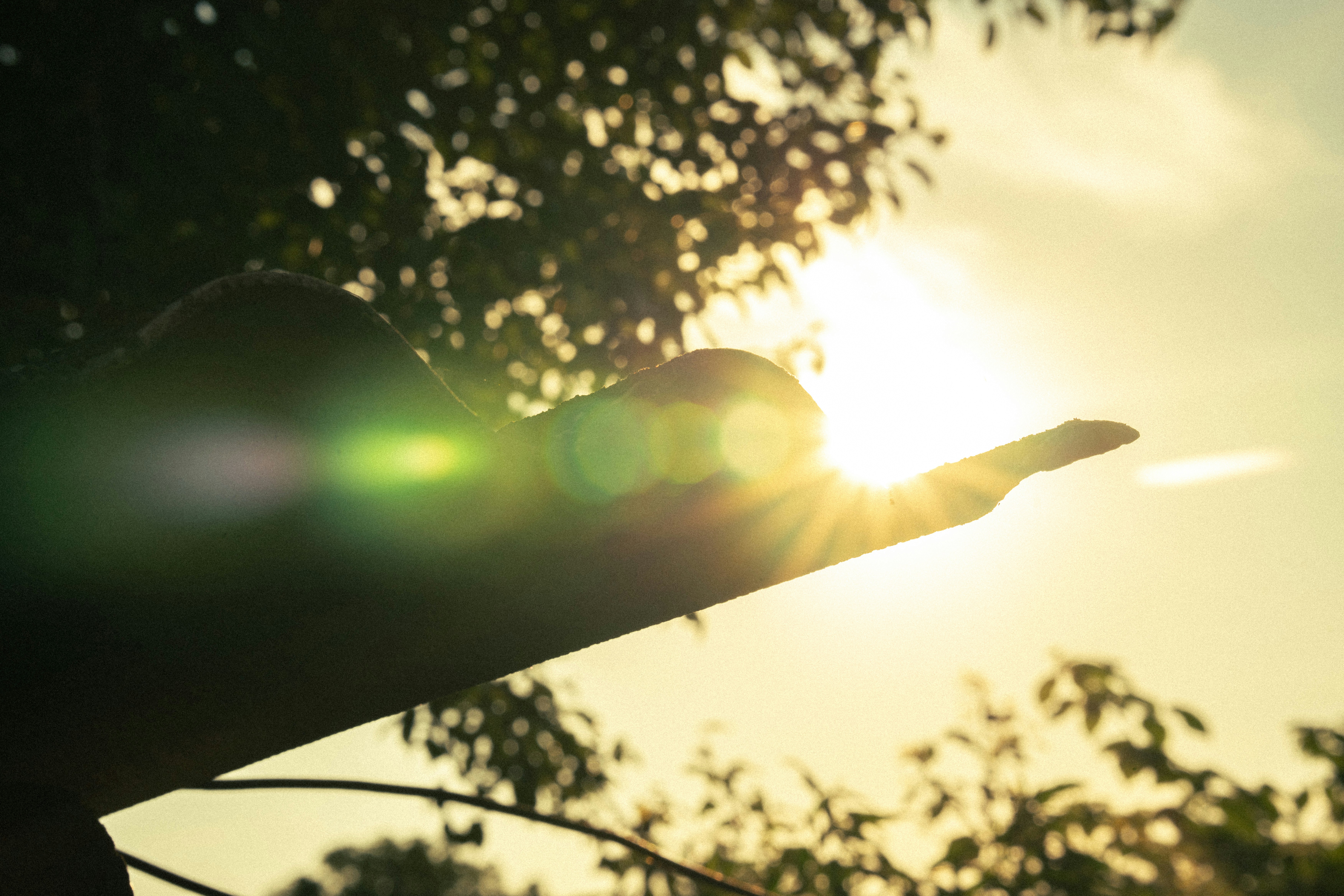 Photo by samoyedness