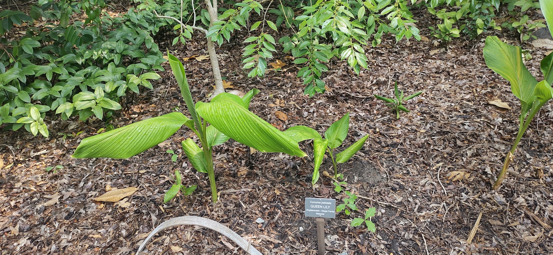 gray computer monitor