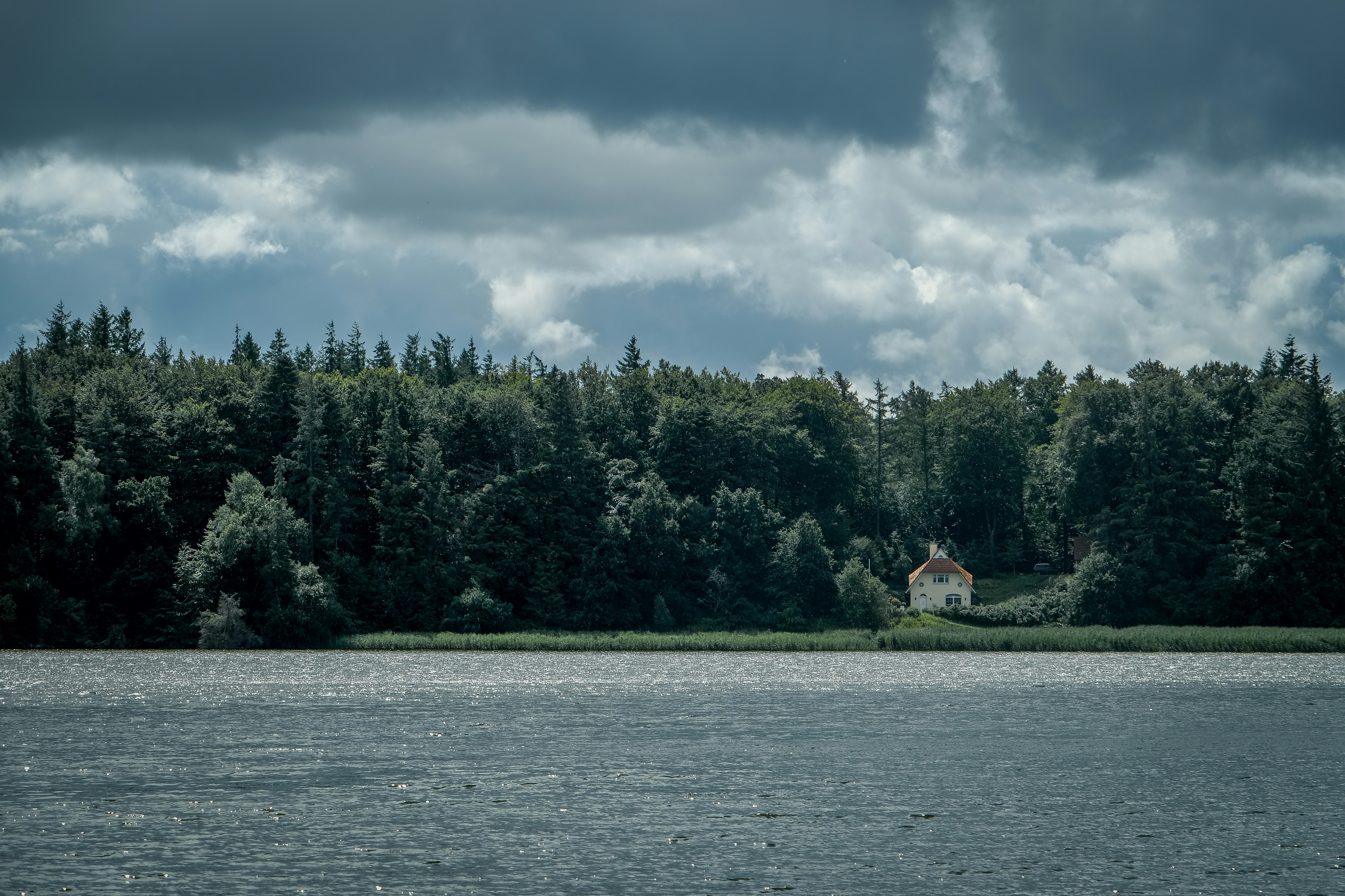 a large body of water with trees in the background