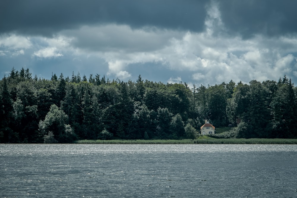 a large body of water with trees in the background