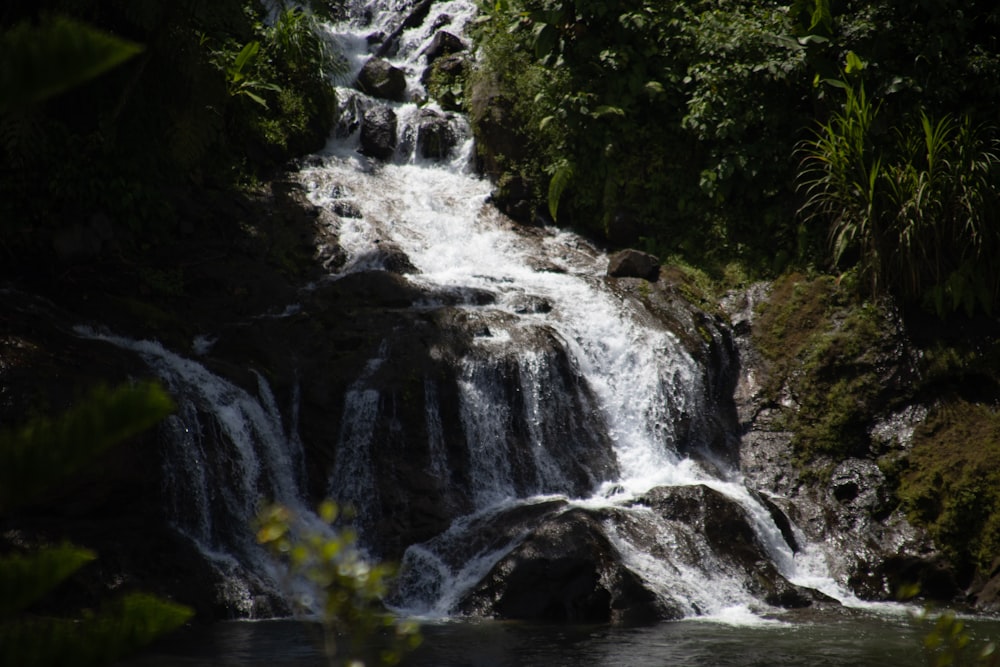 a small waterfall in the middle of a forest