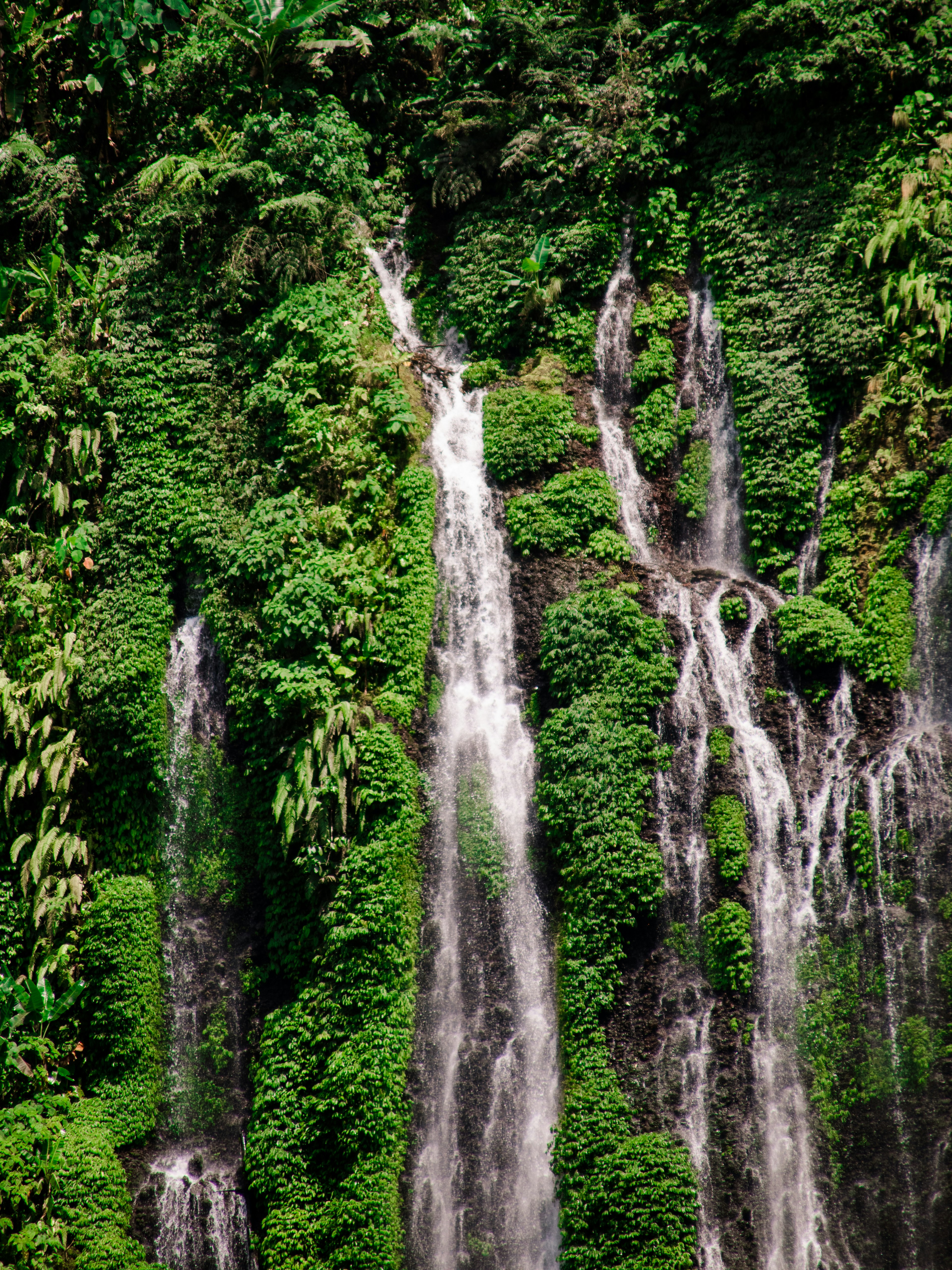 Photo by bhongbahala10