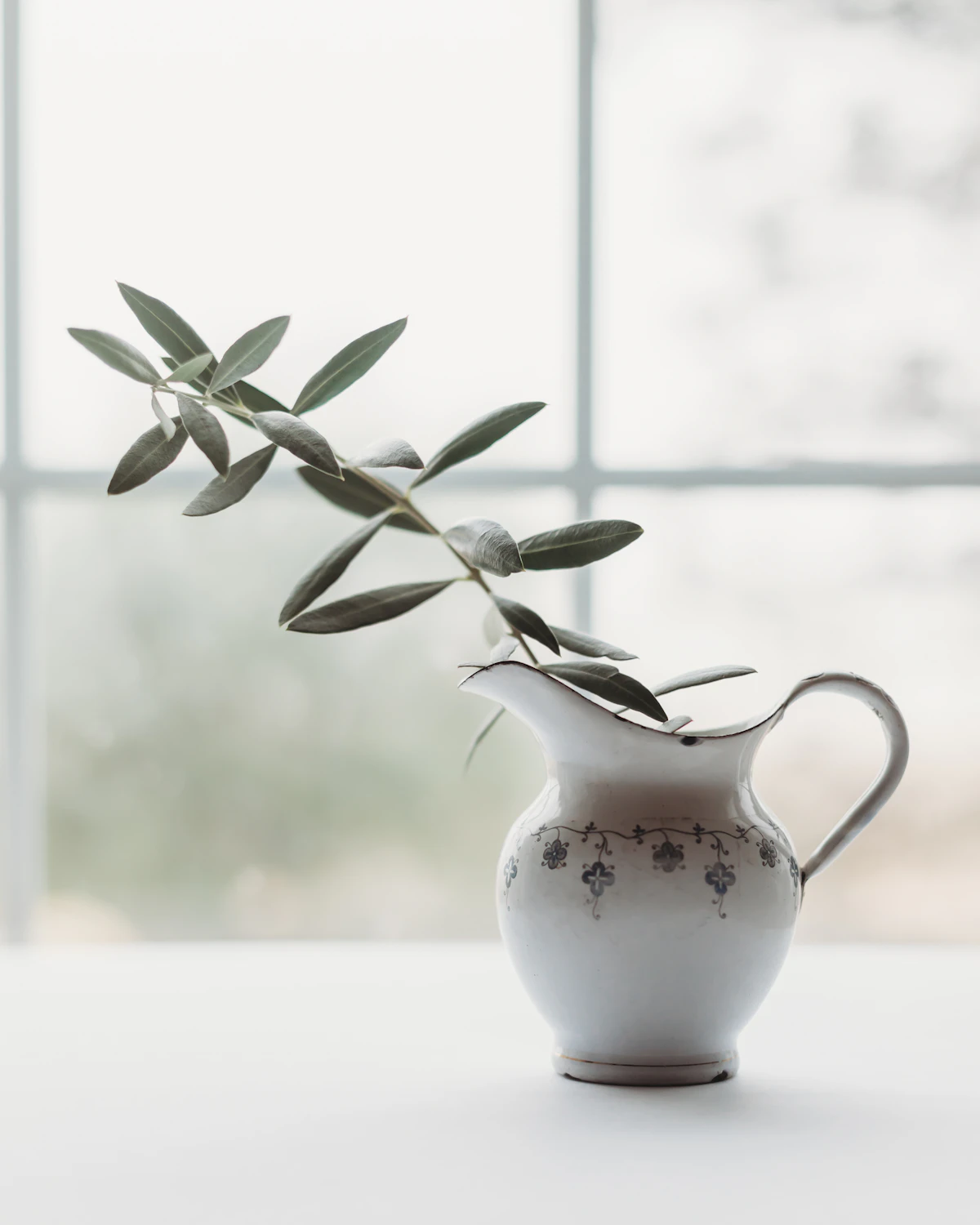 An olive branch in a soft sunlit still life