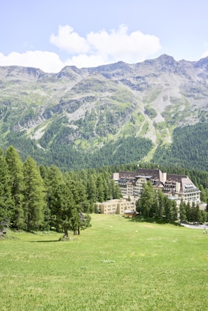 A lush green meadow stretches out in the foreground, bordered by dense forests and set against a backdrop of majestic mountain ranges. Nestled within the trees is a large, multi-story building with a modern architectural design.