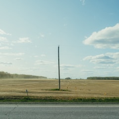 A vacant rural lot with a survey stake marking the center of the property.