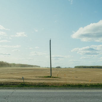 A vacant rural lot with a survey stake marking the center of the property.