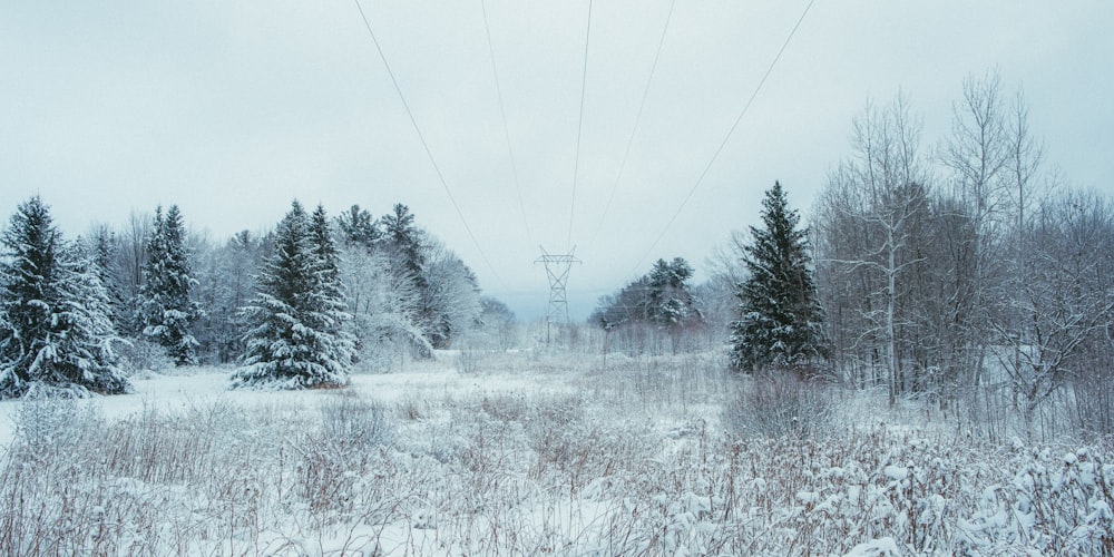 a snow covered field with power lines in the background