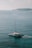 A catamaran with 'Sea Bird' written on its side sails through calm, turquoise waters with an island visible in the distant background under a lightly clouded sky.
