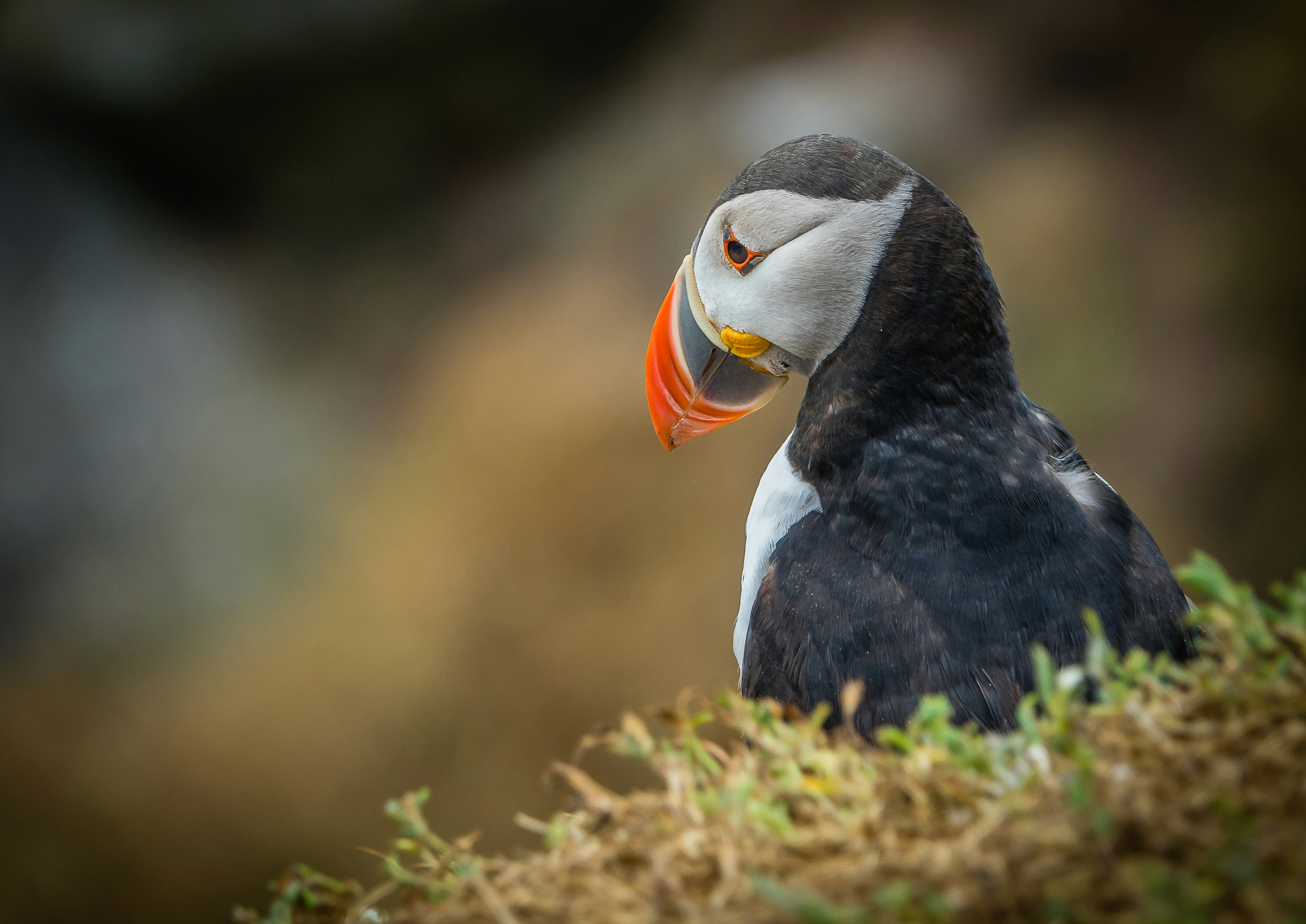 Photo by norfolkboy14