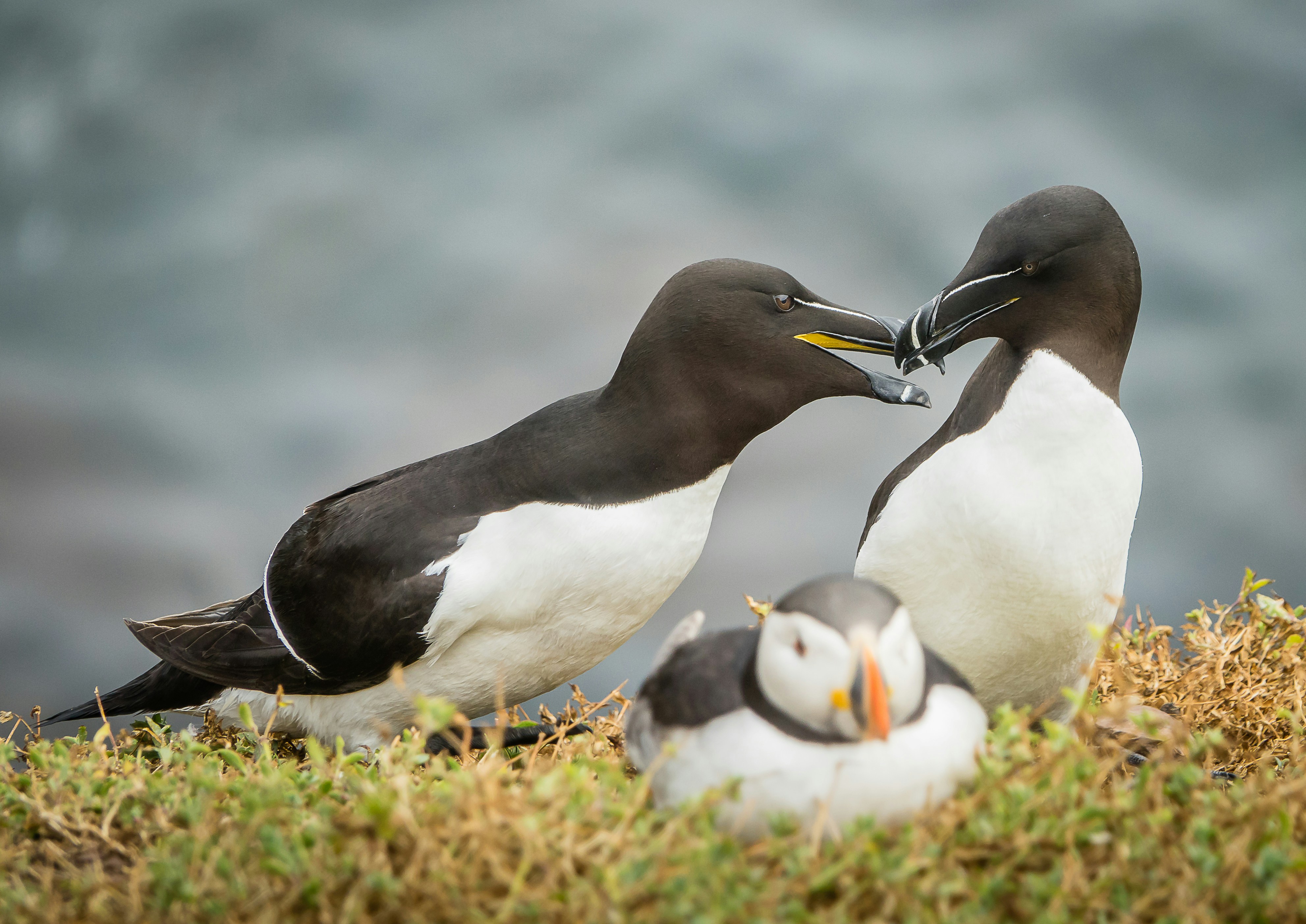 Photo by norfolkboy14