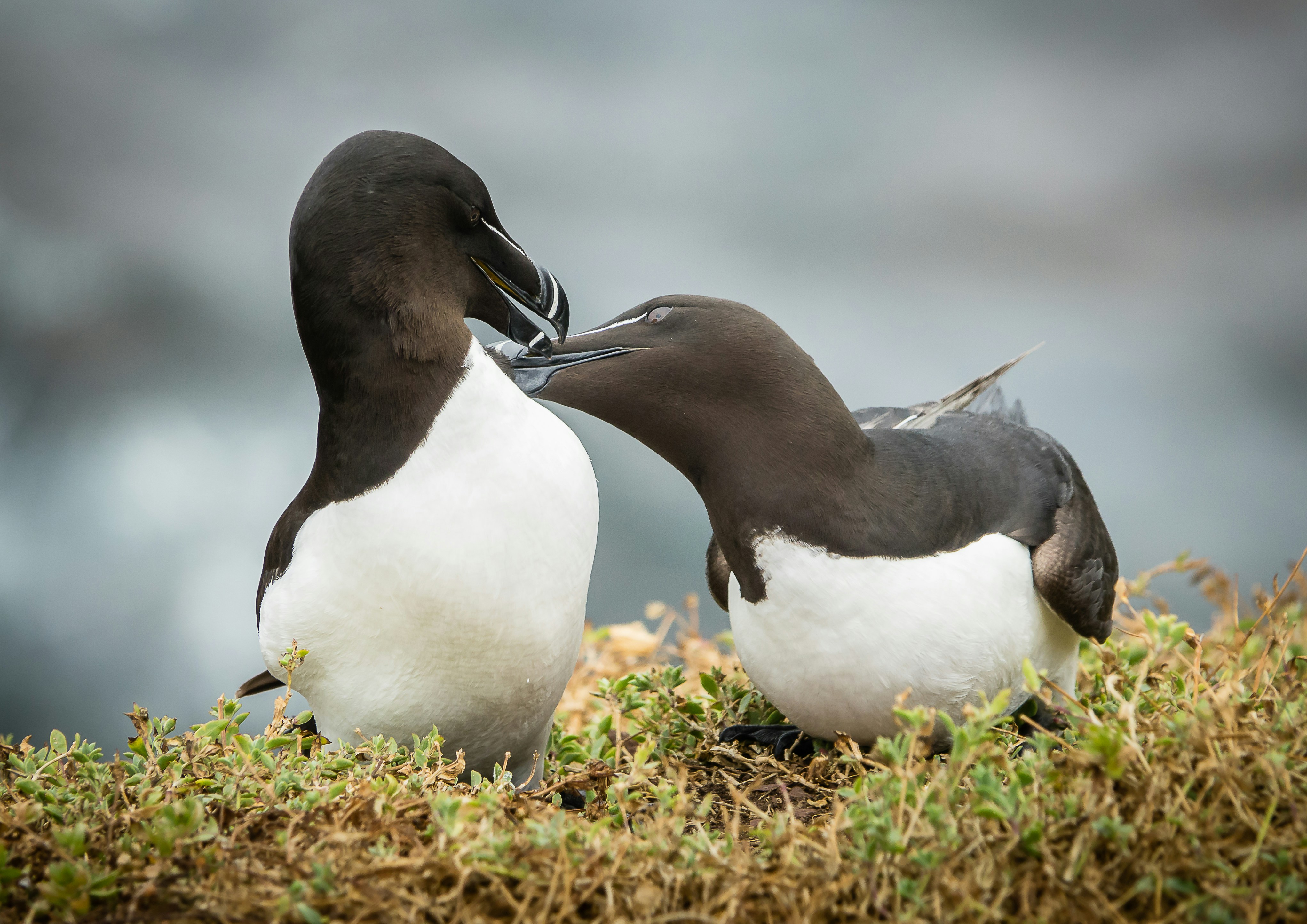 Photo by norfolkboy14