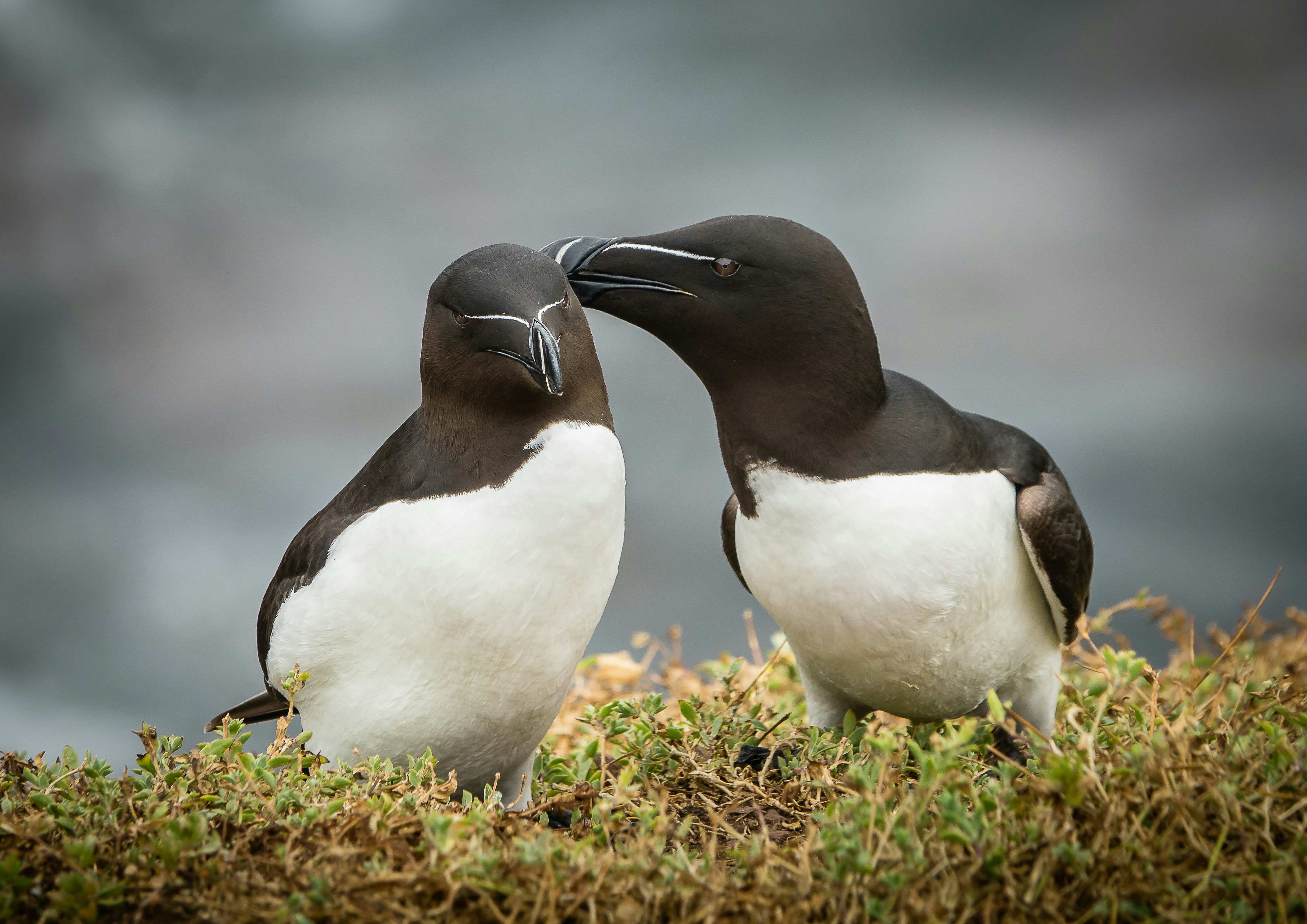 Photo by norfolkboy14