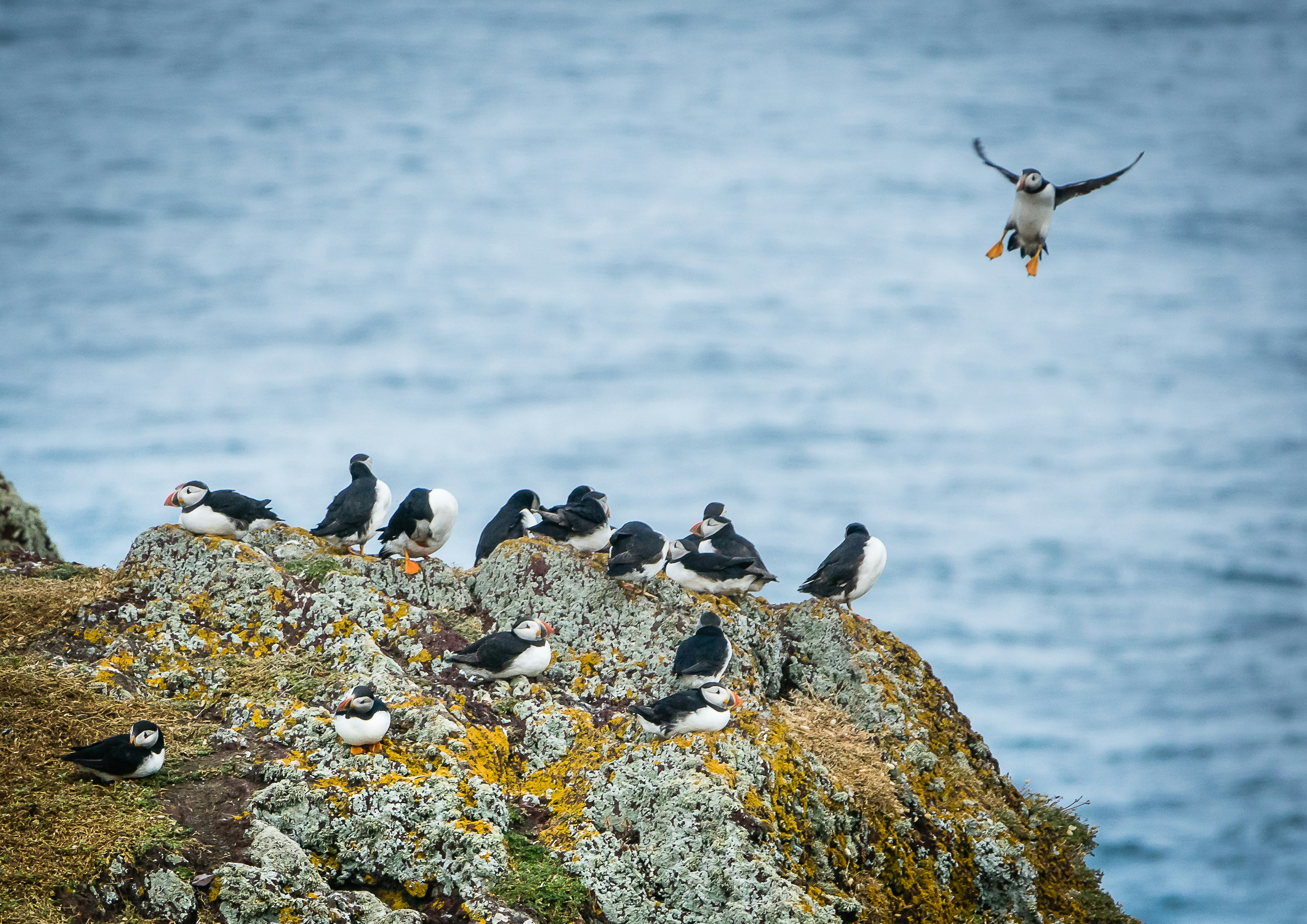 Photo by norfolkboy14