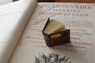 A vintage dictionary page featuring ornate text in French, with a small, leather-bound book placed on it. The open pages of the dictionary reveal handwritten notes and an elaborate border design. The small book shows a label with numbers and has gold detailing on its cover.