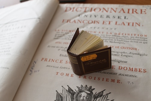 A translator reviewing a French novel with notes and a dictionary.