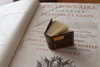 A vintage dictionary page featuring ornate text in French, with a small, leather-bound book placed on it. The open pages of the dictionary reveal handwritten notes and an elaborate border design. The small book shows a label with numbers and has gold detailing on its cover.