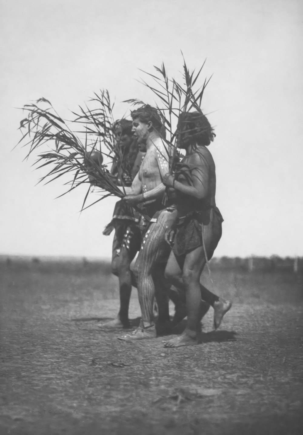 an old photo of a native american man holding a plant