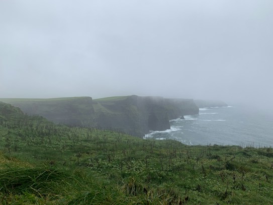 A foggy coastal landscape featuring steep cliffs rising from the sea. The foreground is covered with lush green grass and patches of wild vegetation. The cloudy sky and mist create a mysterious atmosphere, with waves crashing against the cliff bases.