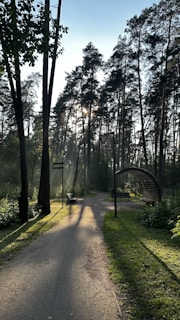 A peaceful meditation session under the shade of ancient trees.