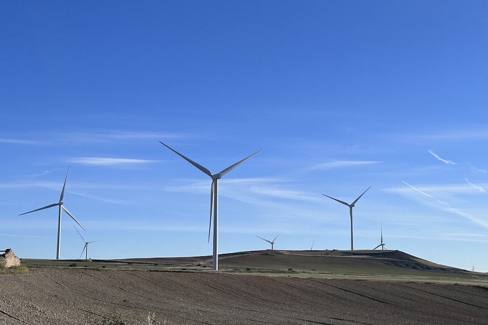 a group of windmills in a field on a sunny day