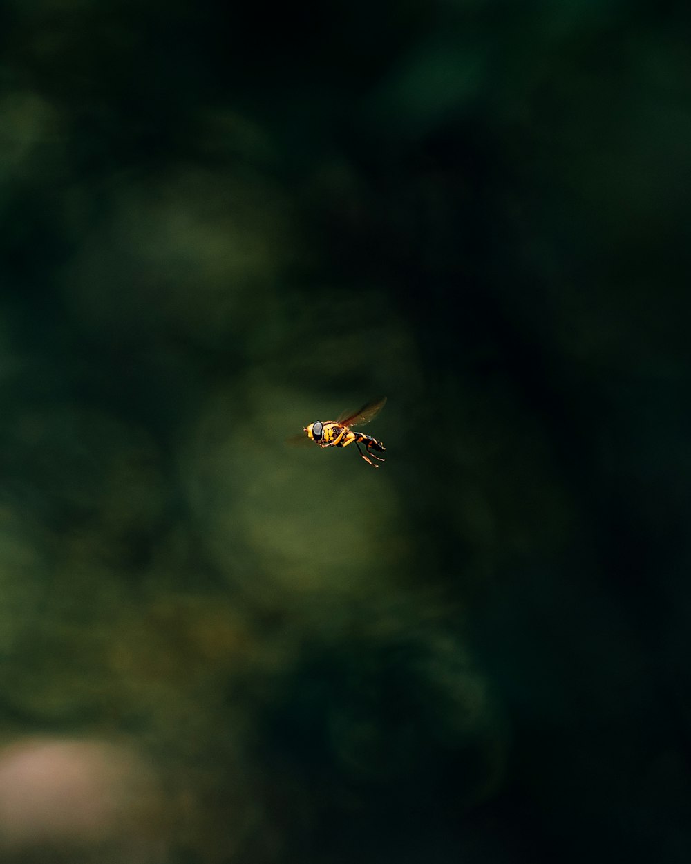 a yellow and black insect flying through the air