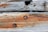 Weathered wooden beams with visible grain patterns and rusted metal bolts. The wood shows signs of aging and some areas of decay.