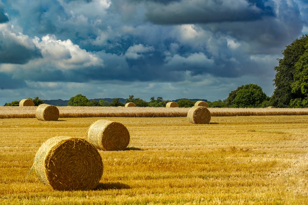 a field full of hay bales under a cloudy sky