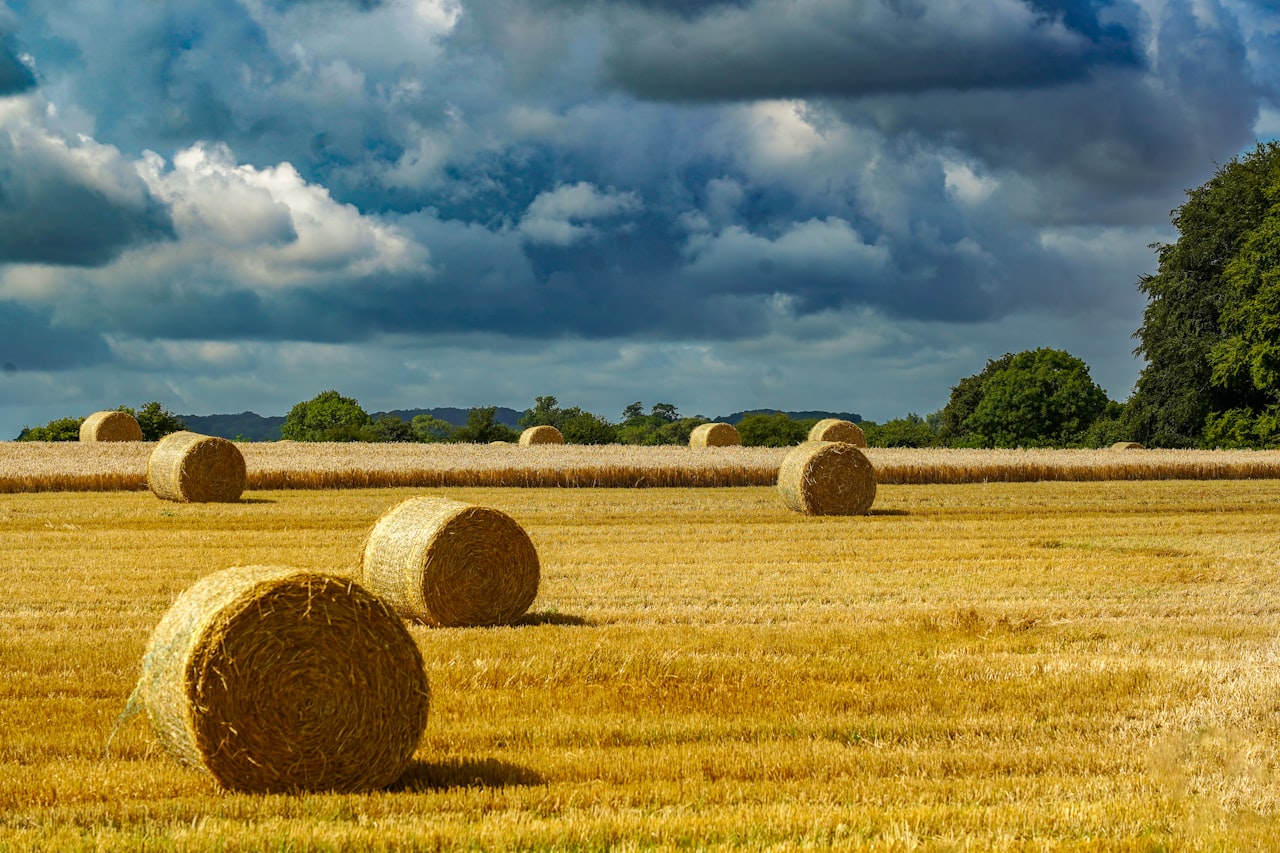 Franklin