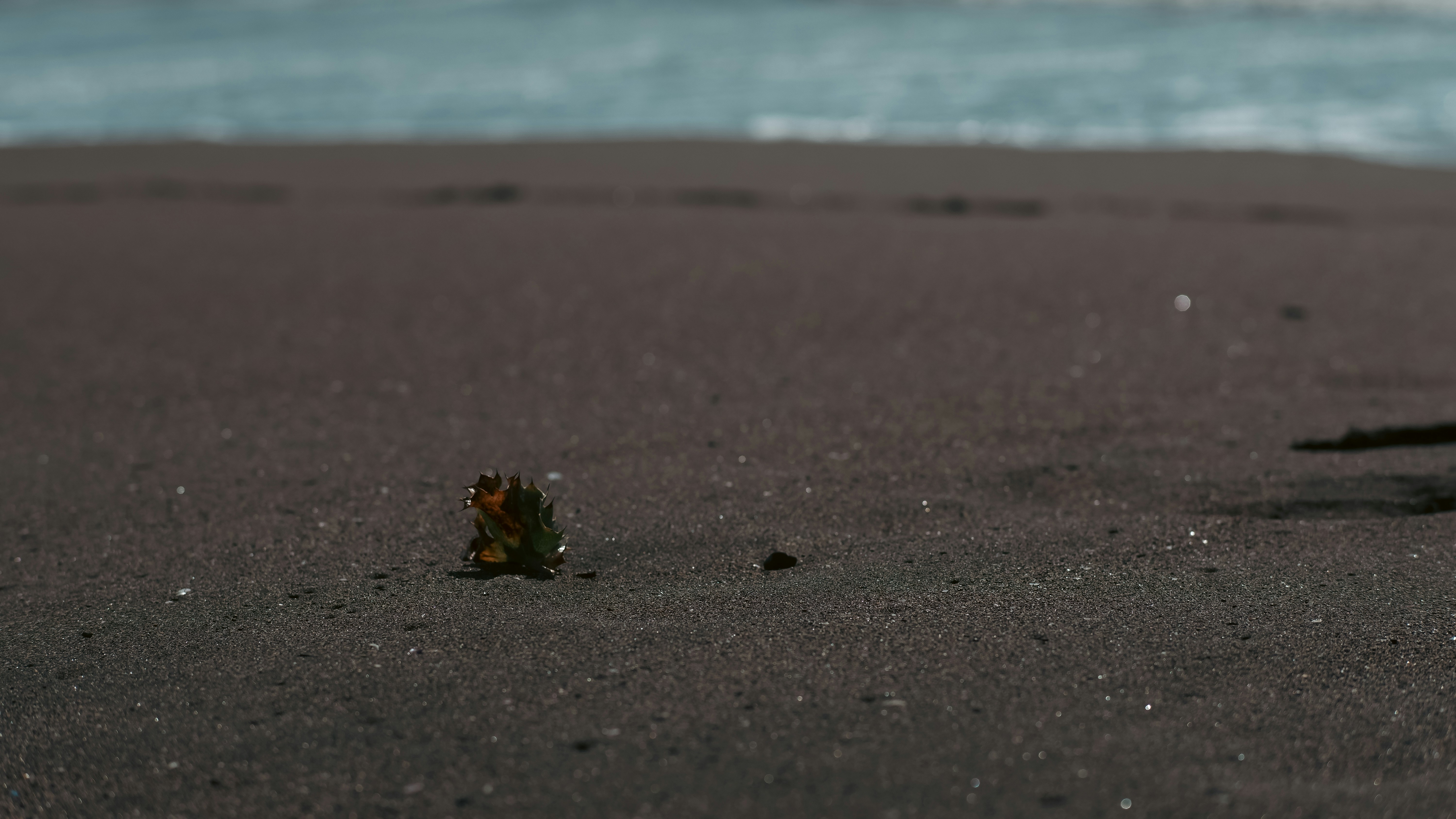 Photo by krotovnet