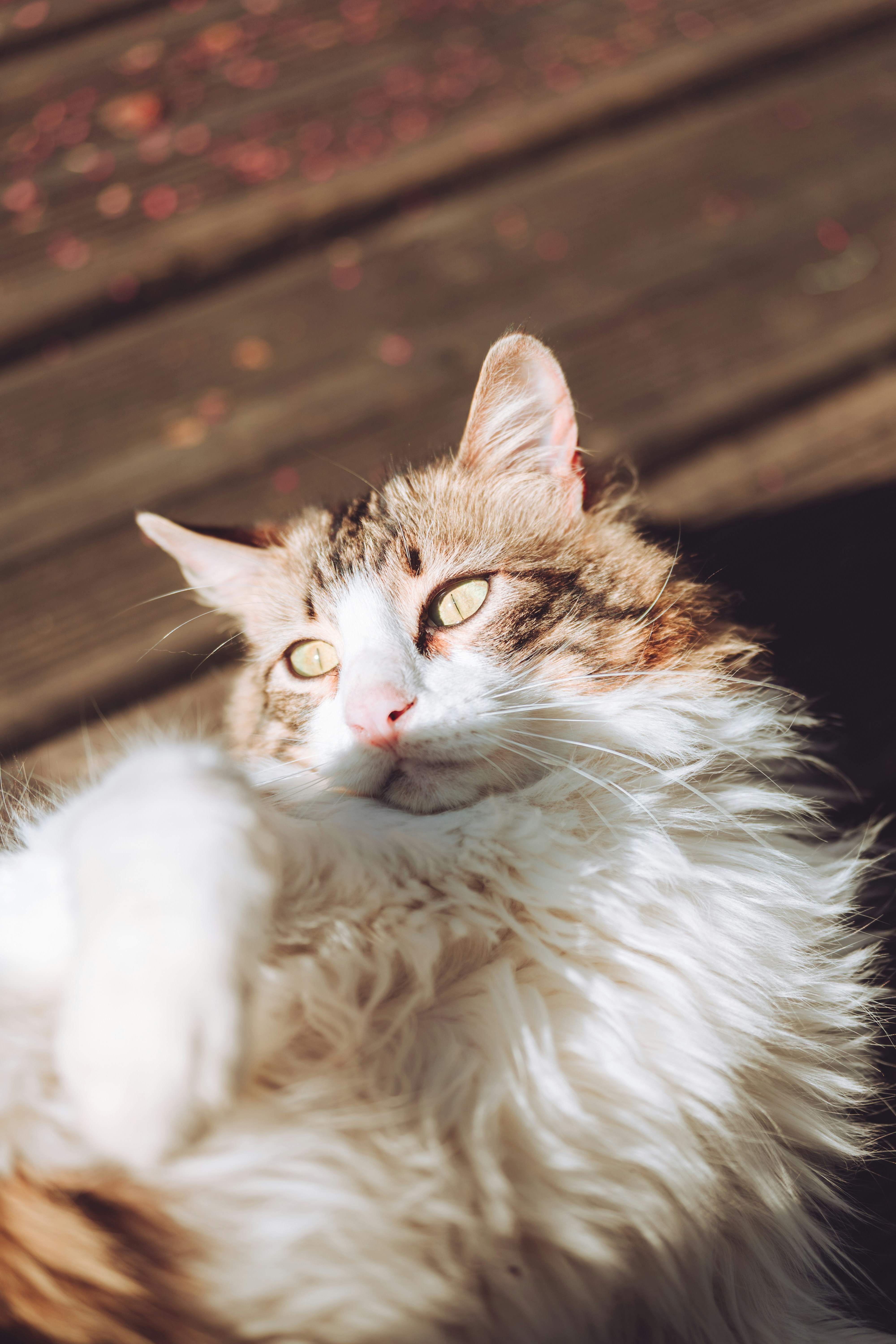 Photo by mathieuodin