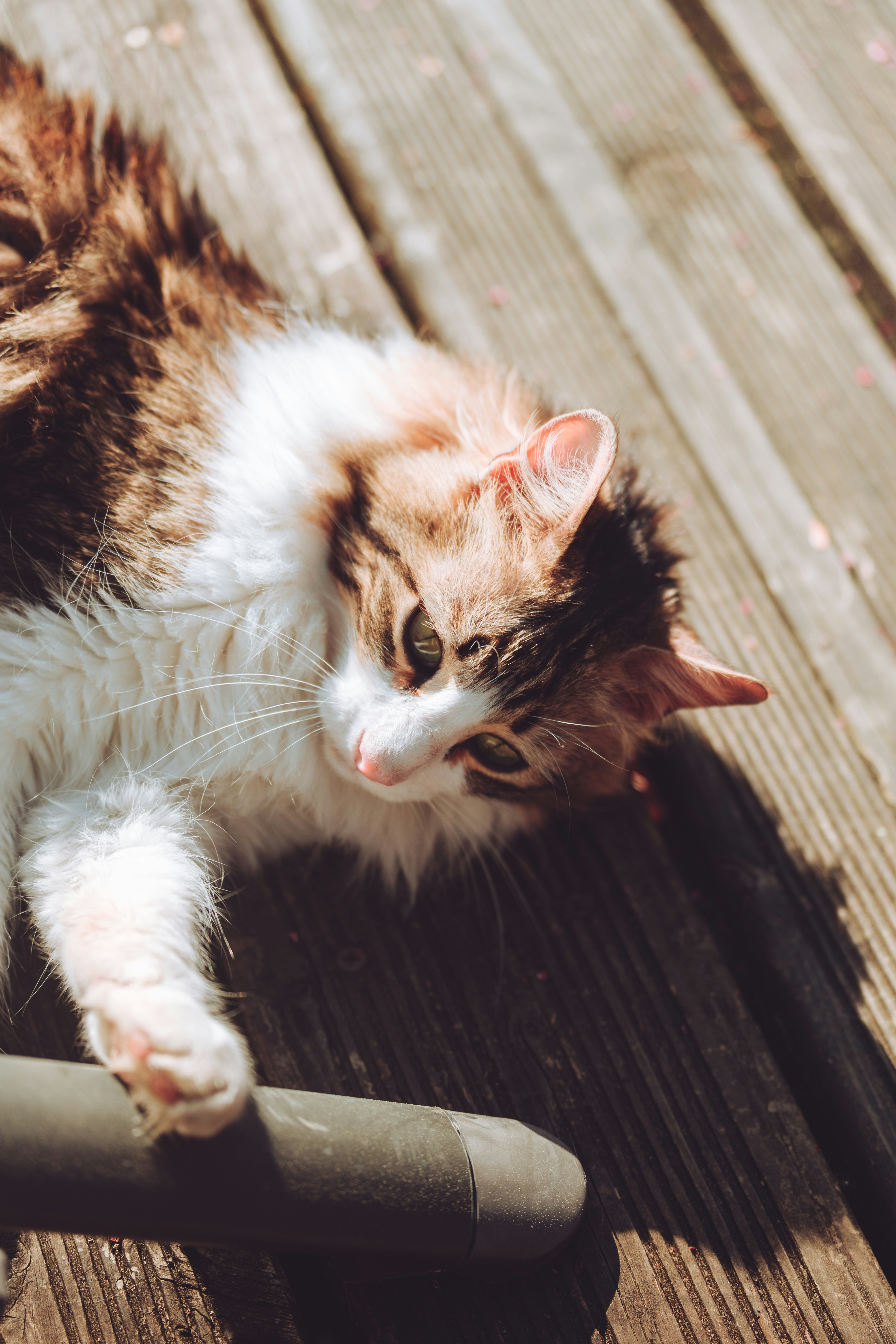 Photo by mathieuodin