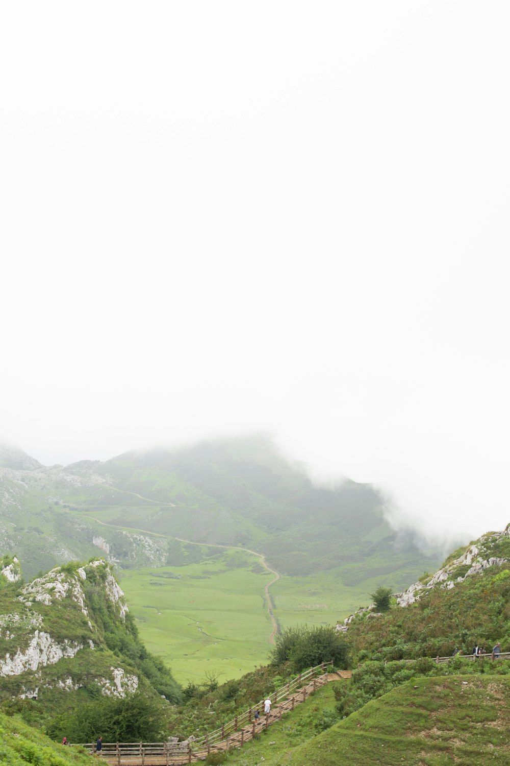 a couple of sheep standing on top of a lush green hillside