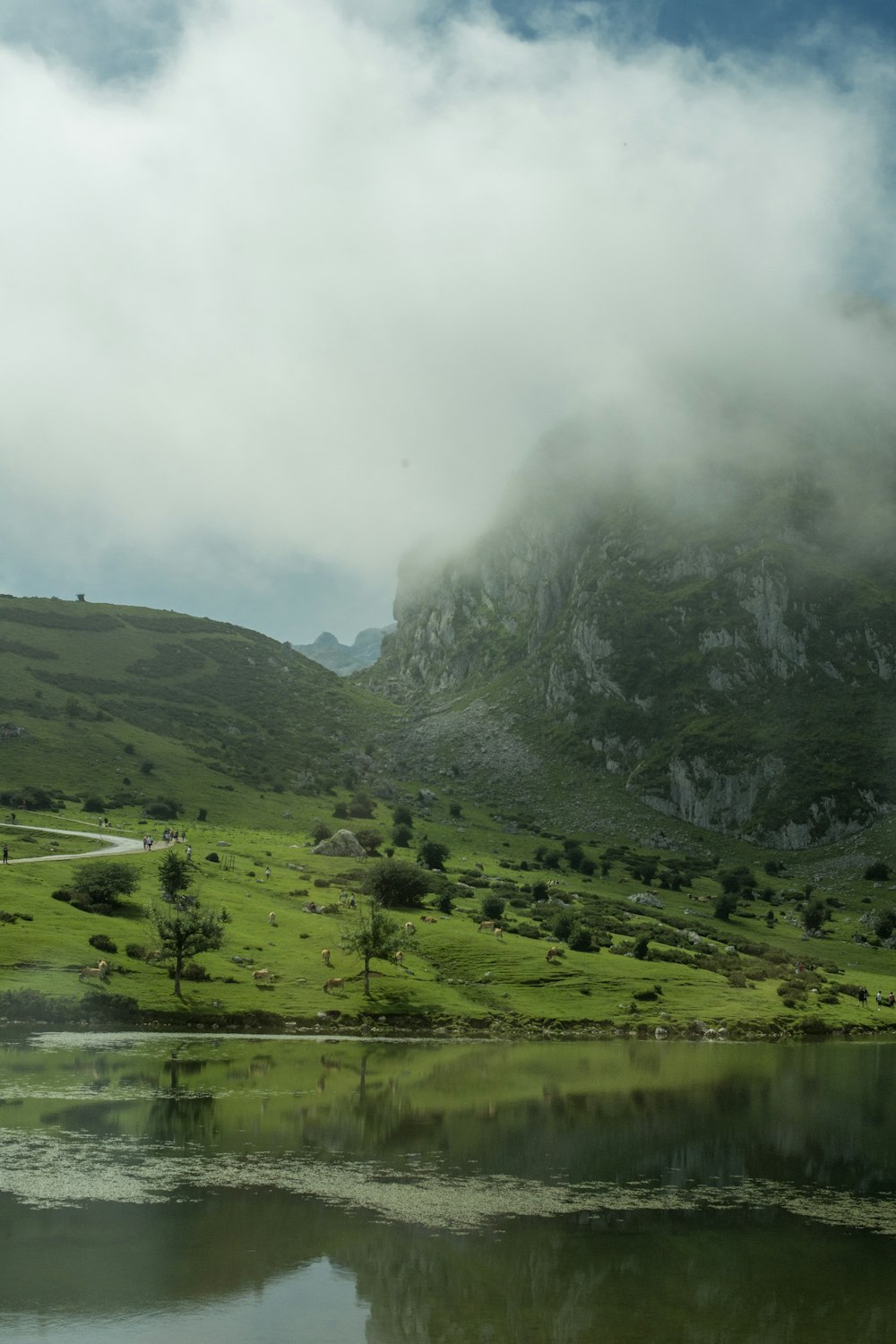 a lake surrounded by a lush green hillside