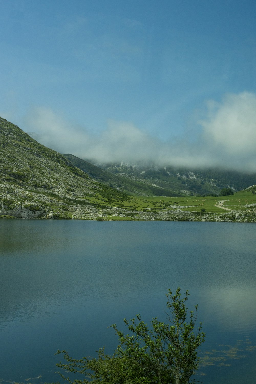 a large body of water surrounded by a lush green hillside