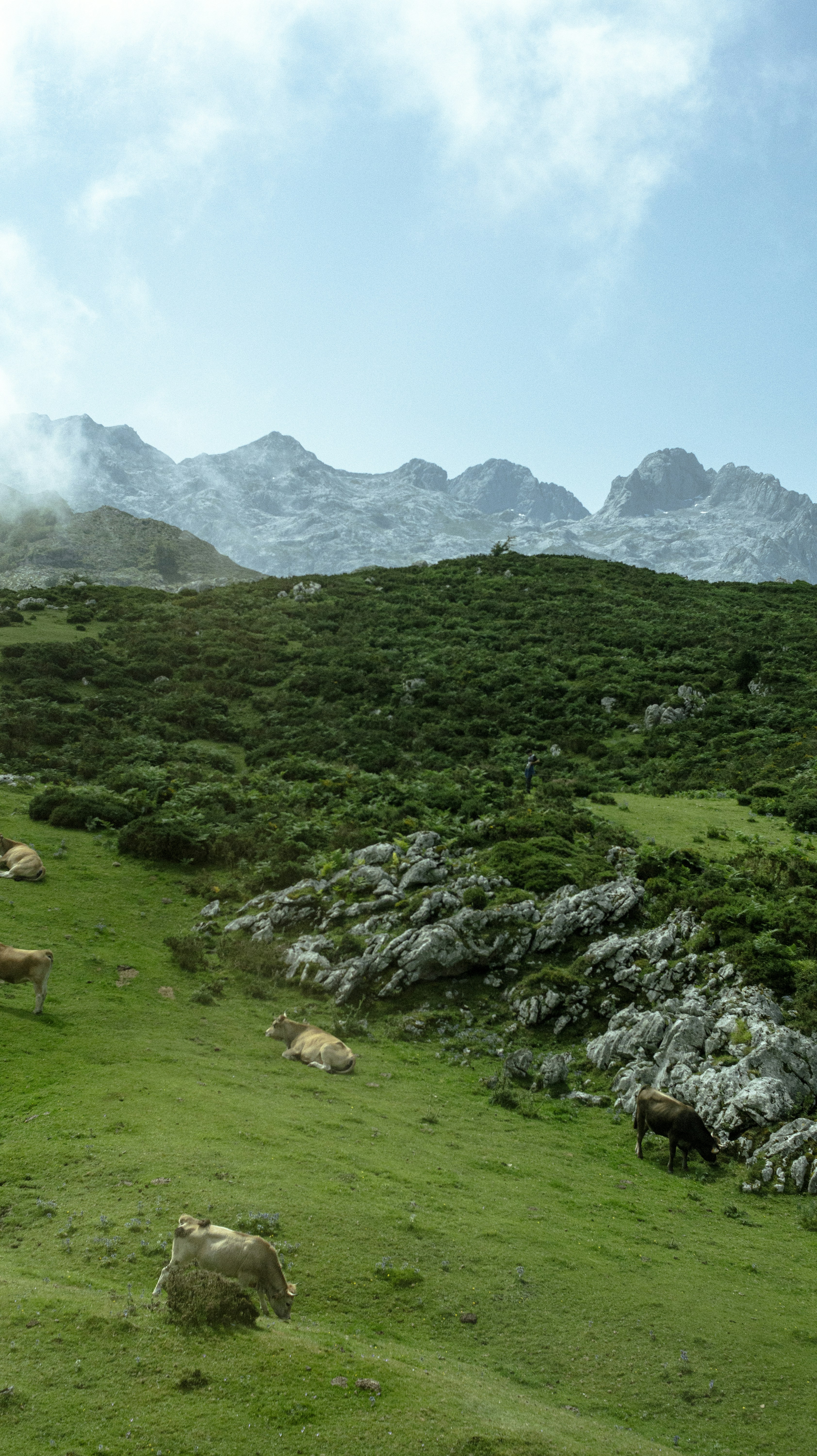 Picos de Europa - Asturias