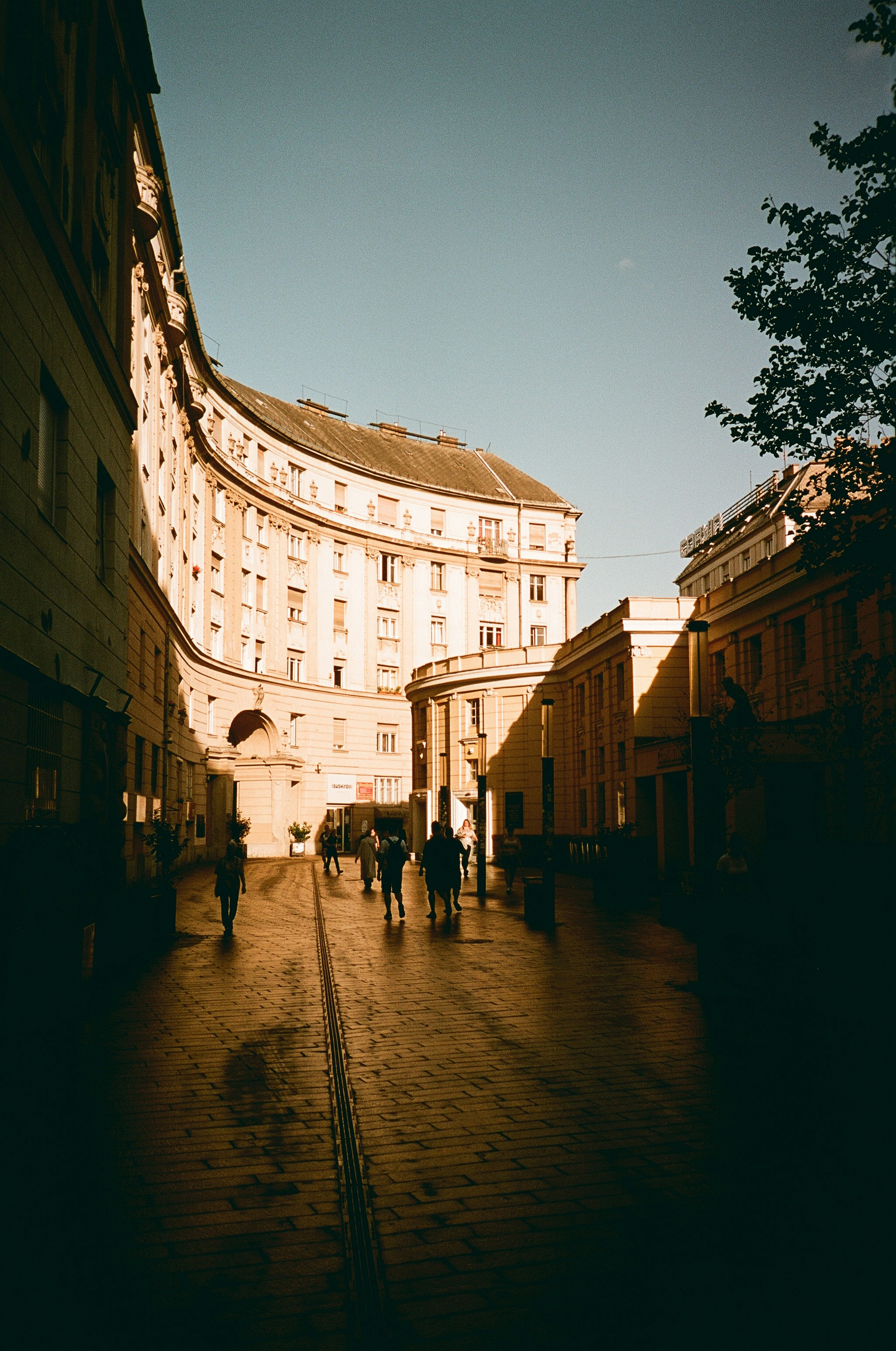 Photo by stachmann