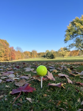 A bright yellow golf ball is perched on a tee on the green grass, surrounded by fallen autumn leaves. The background features a vibrant, clear blue sky and an array of colorful trees, indicating a serene, sunny day.
