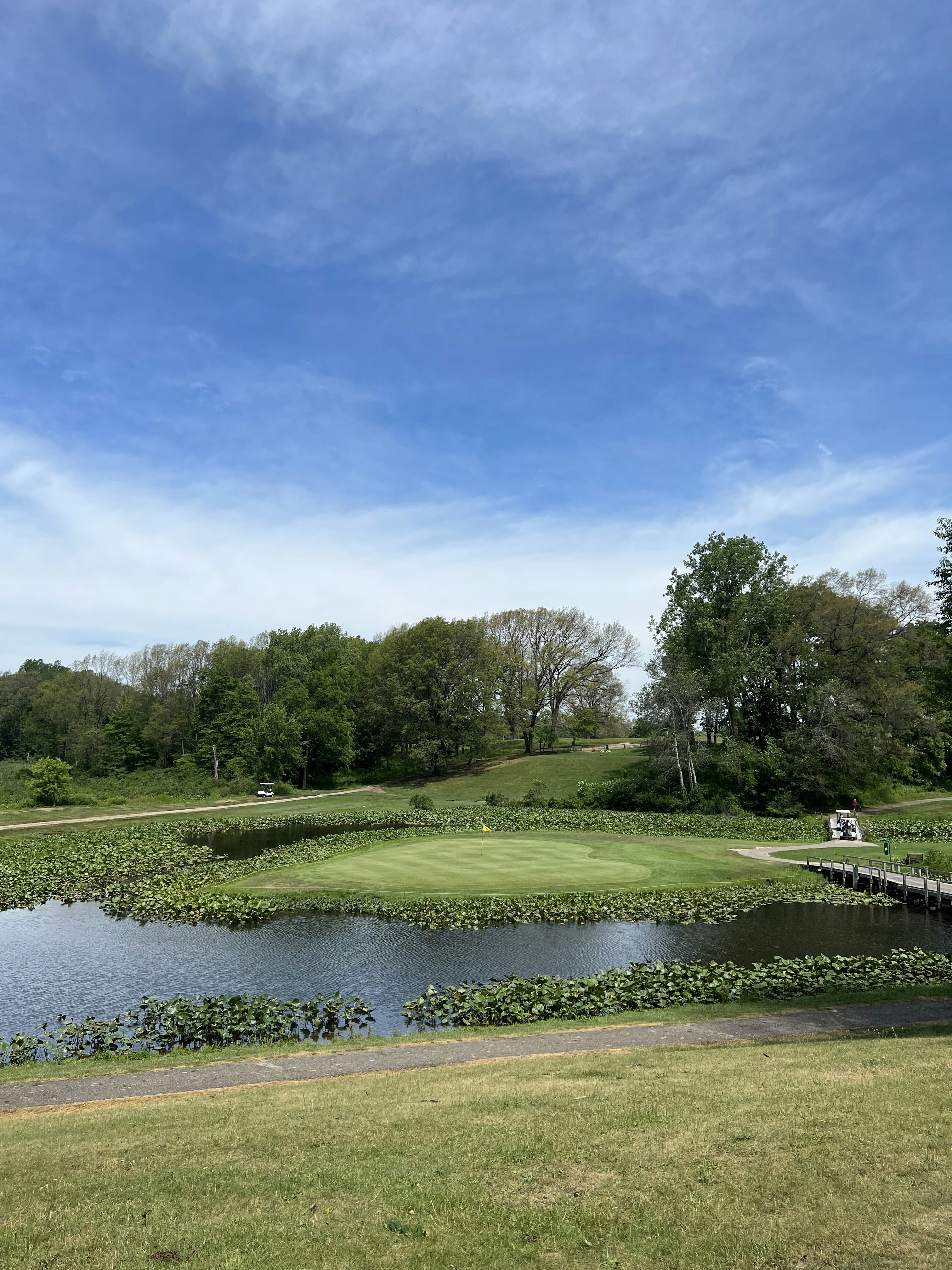 Premium Electric Golf Carts Sale