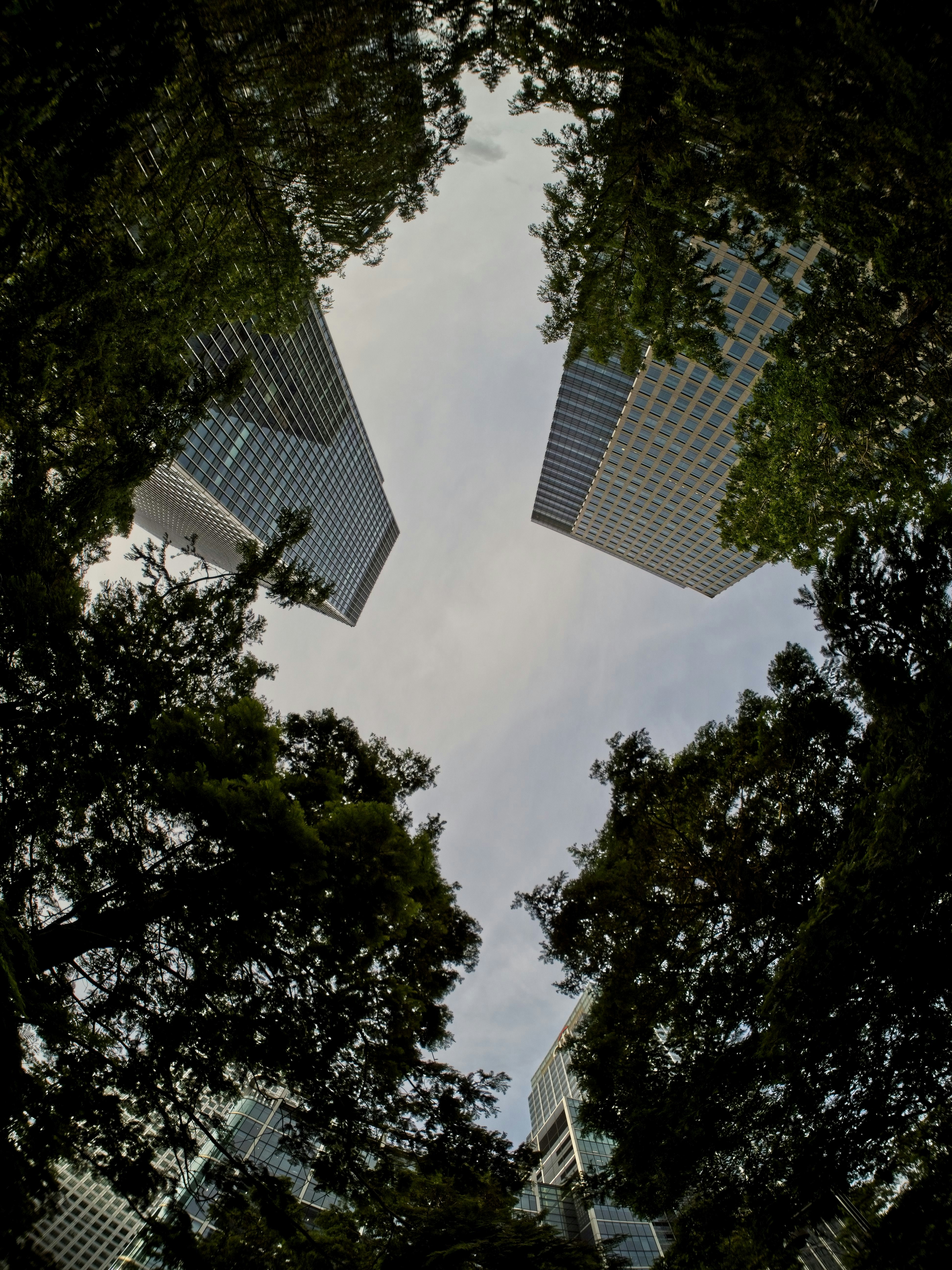 a group of tall buildings sitting next to each other