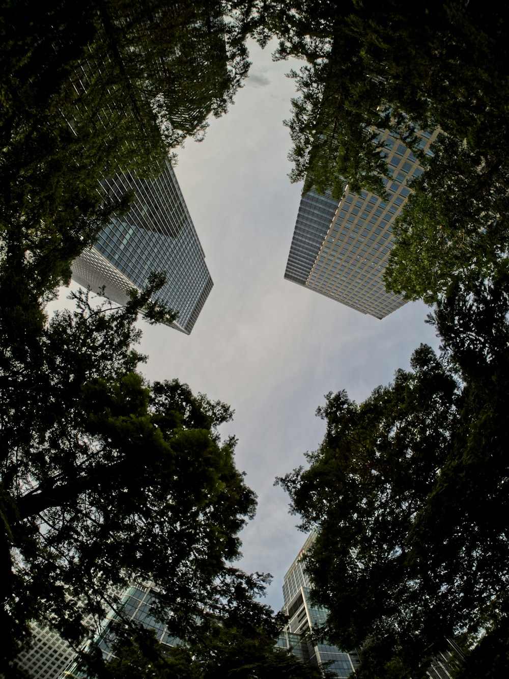 a group of tall buildings sitting next to each other