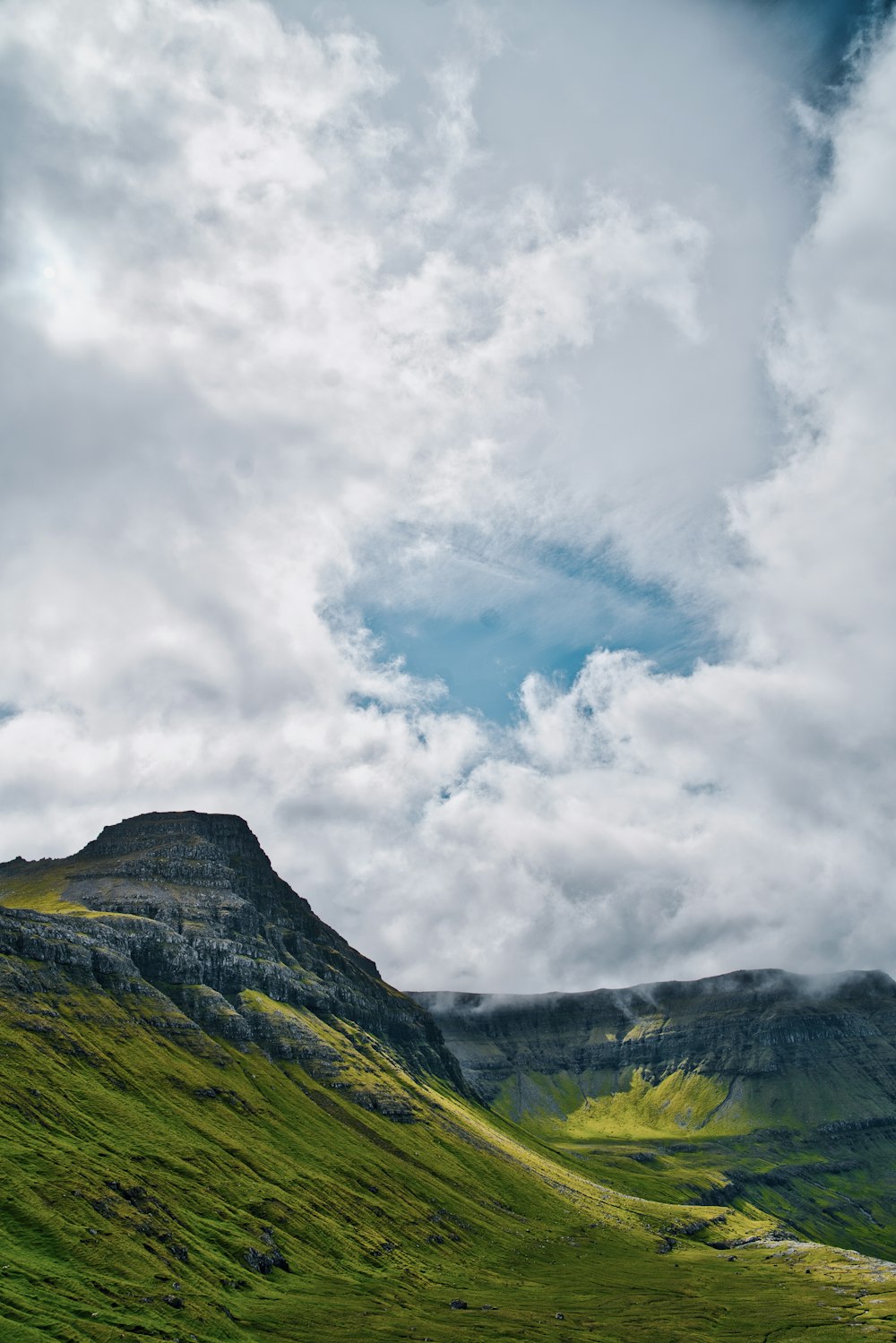 a grassy field with a mountain in the background